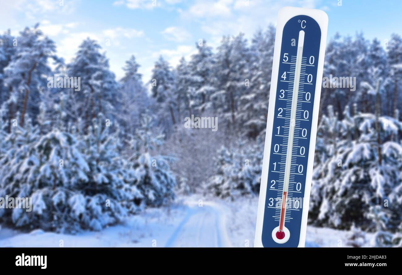 Minus wintertime temperatures in a thermometer shows the low temperature against the background of the winter snow-covered forest. Stock Photo