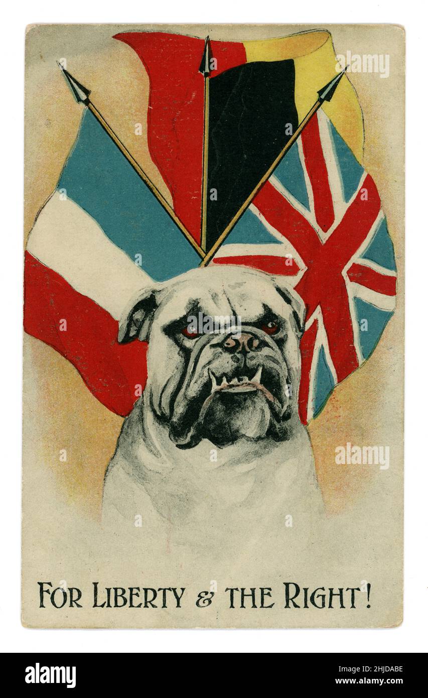Original WW1 era comic cartoon postcard of bulldog with Belgian, French and British flags behind, the card states 'For Liberty & the Right'.  U.K. circa 1914. Stock Photo
