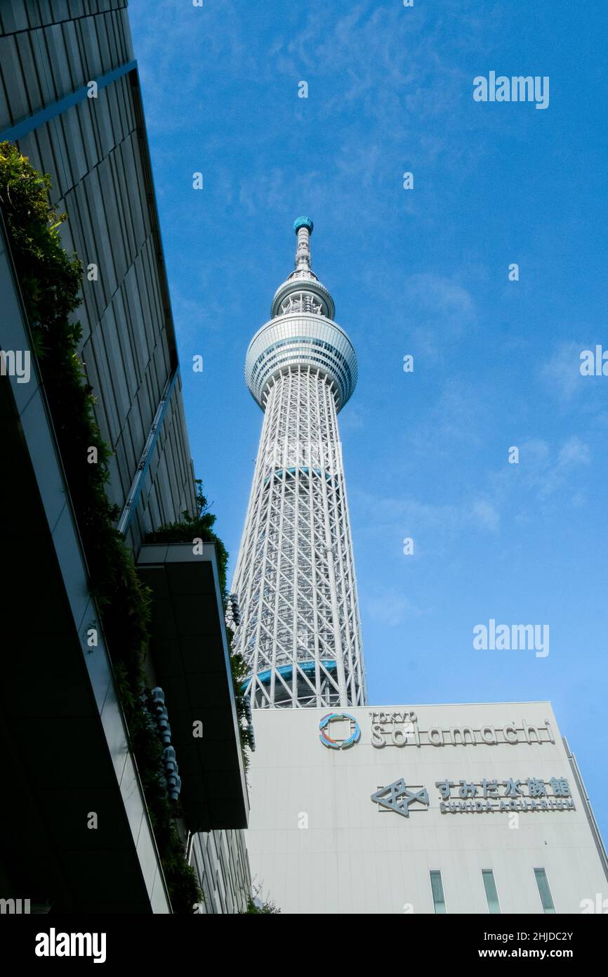 View of Tokyo Skytree from below with blue sky behind framed by buildings Stock Photo