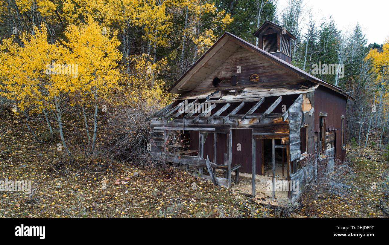 neglected old house in the woods Stock Photo