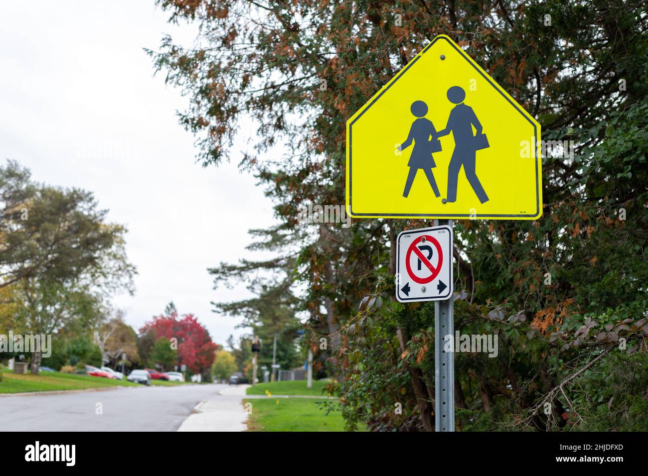 Ottawa, Canada - October 10, 2021: Yellow school crossing ahead sign on the road near school zone Stock Photo