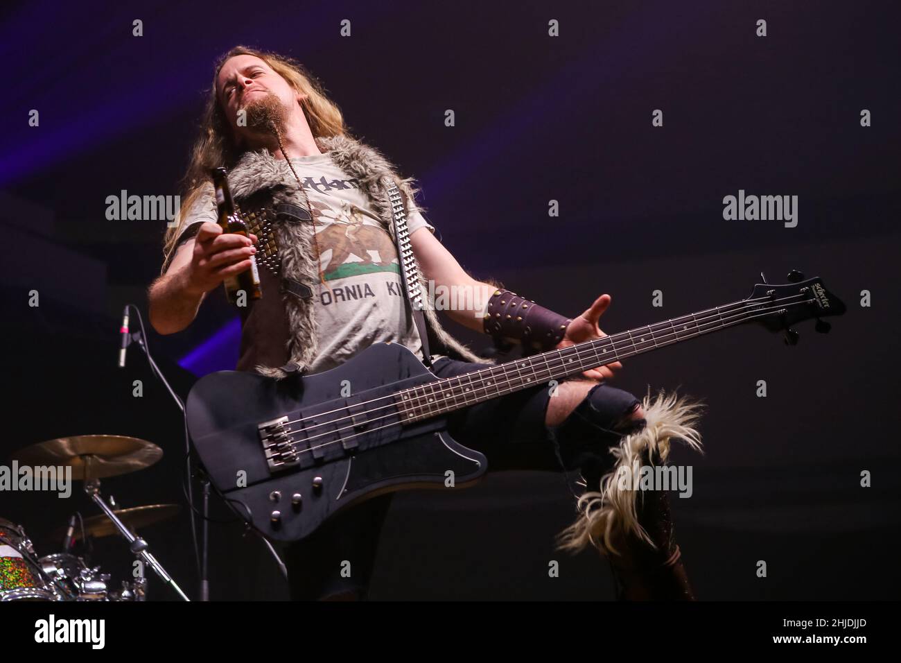 Gloryhammer, British symphonic power metal band, self-described as heroic fantasy power metal: James Cartwright aka The Hootsman (bass). Concert at Wartenberg Oval in Wartenberg-Angersbach near Fulda, Germany, 18th Jan, 2017, as support for band Hammerfall, Built To Tour 2017. Stock Photo