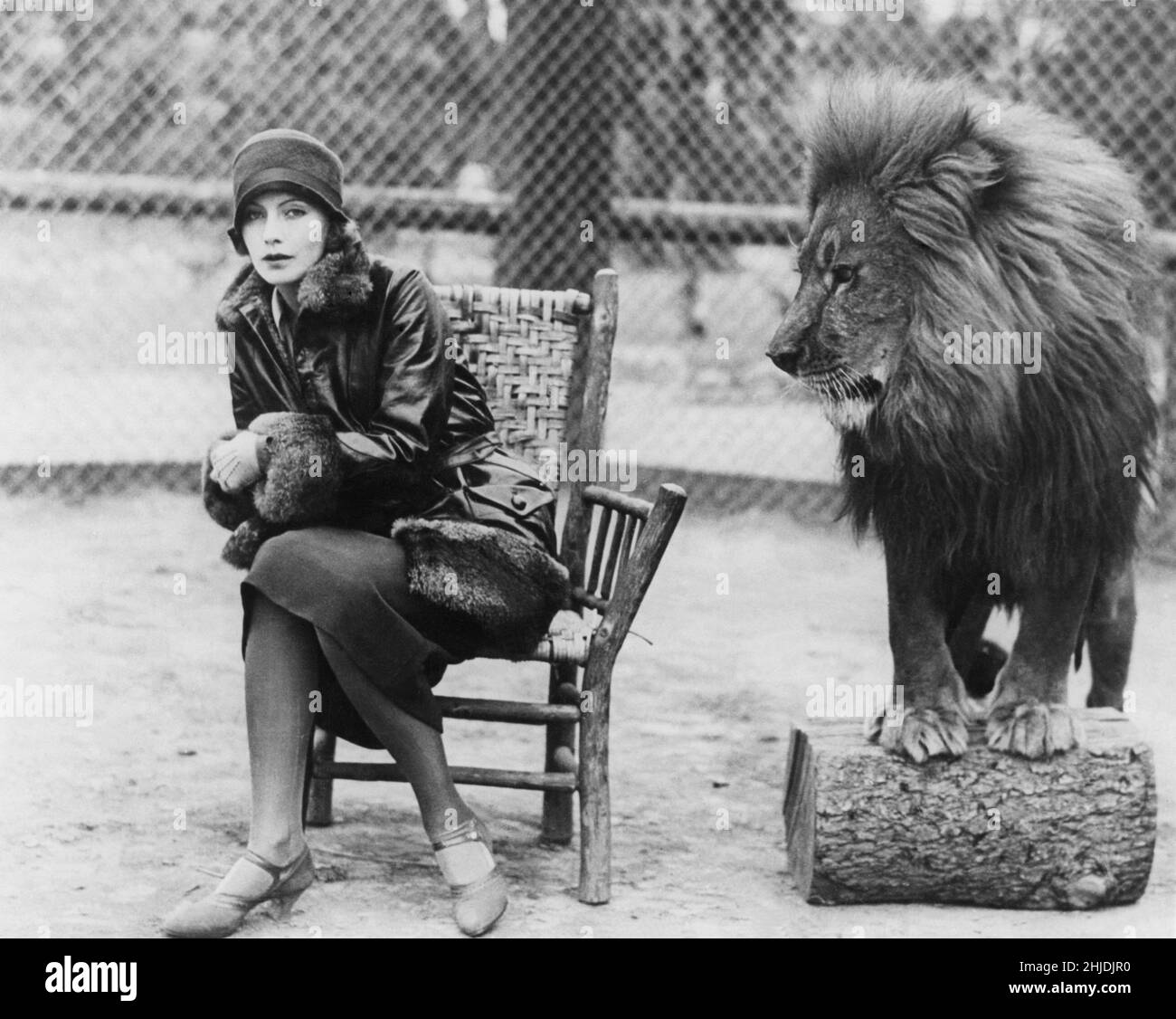 Swedish actress Greta Garbo. 1905-1990. Swedish actress with her glory days during the 1920s and 1930s. She retired from the screen at the age of 35 after acting in 28 films. Pictured here with Leo the lion, the mascot and symbol for the american moviecompany Metro Goldwyn Mayer. At this time 1926 Garbo just recently signed a contract for doing films in Hollywood and the picture was taken to create attention to the new swedish moviestar. Stock Photo