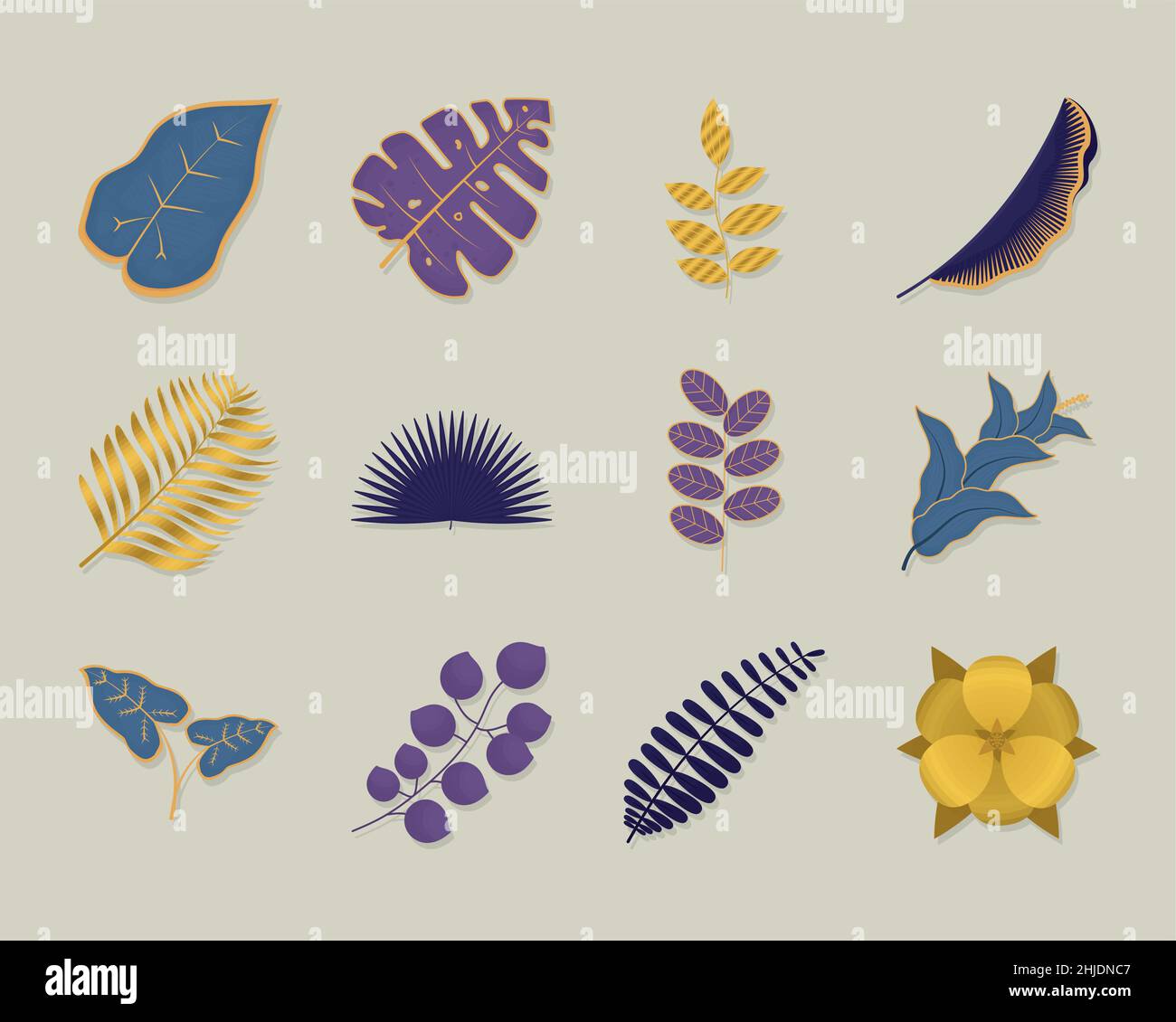 elegant leaves icon collection design Stock Vector Image & Art - Alamy
