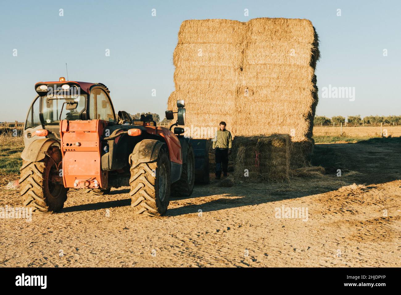 a man in work clothes preparing feed to be transported on a tractor Stock Photo