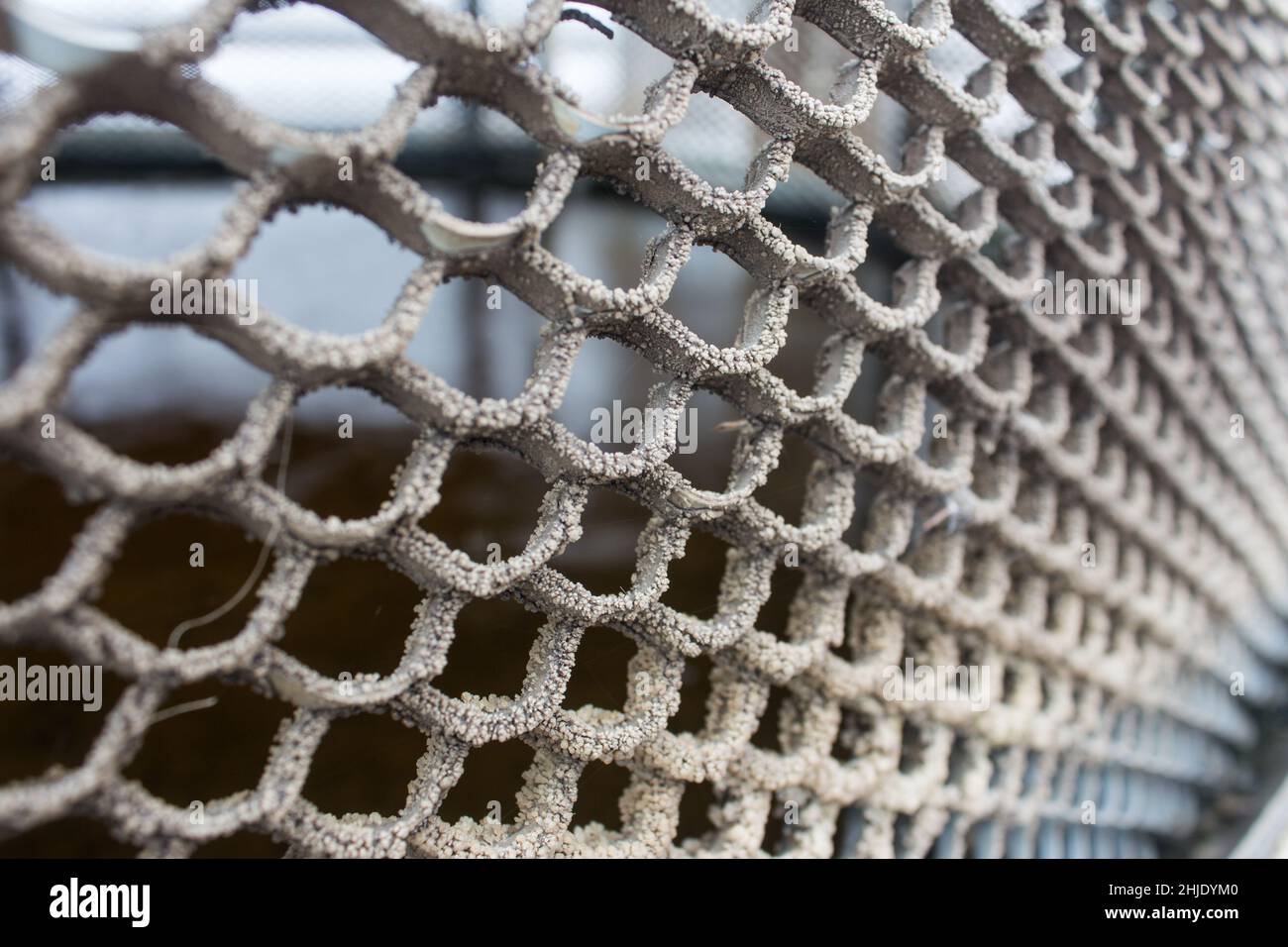 Metal old bronze texture as the mesh and cells Stock Photo