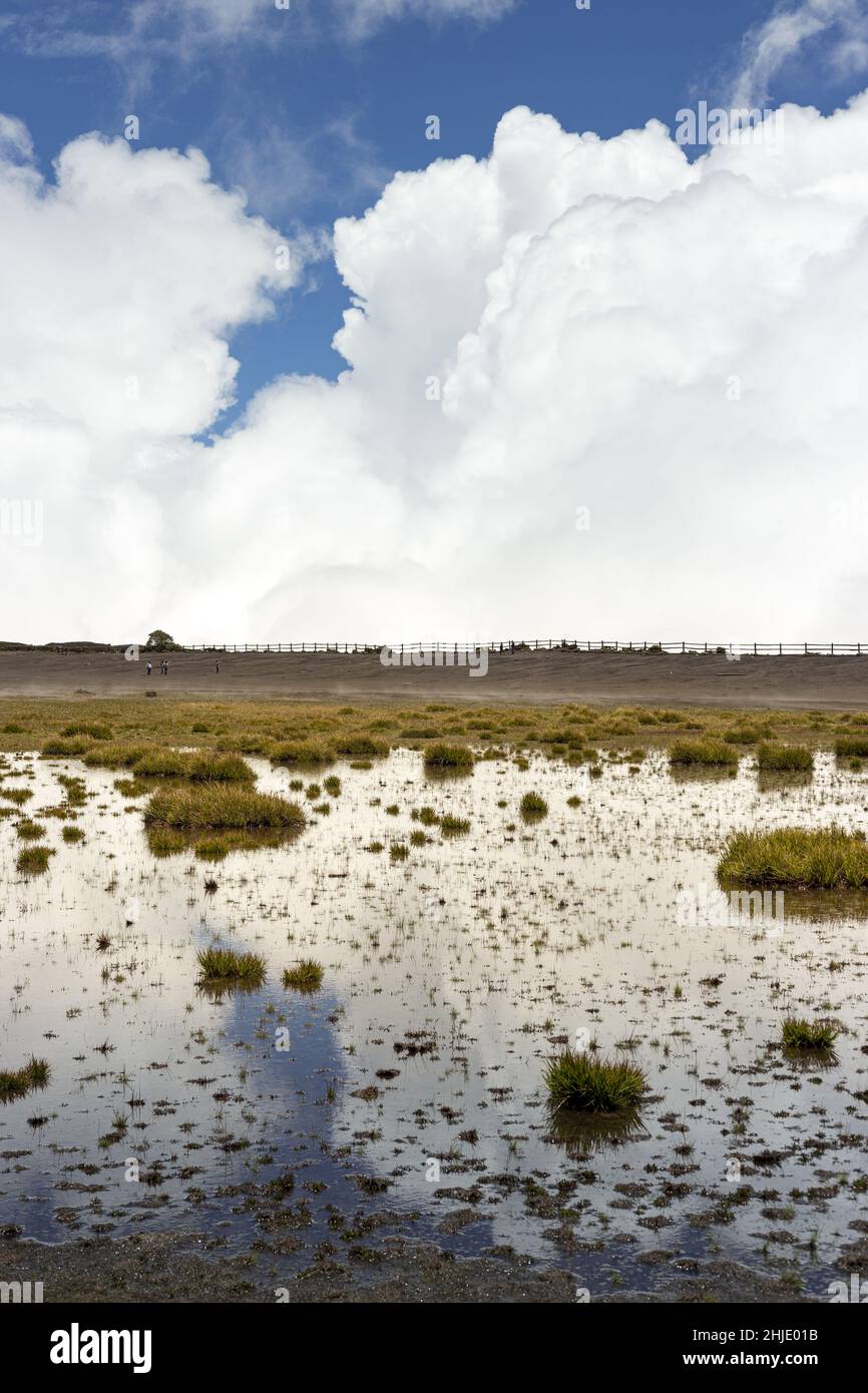 Vertical shot of a landscape with a lake covered in moss under a cloudy ...