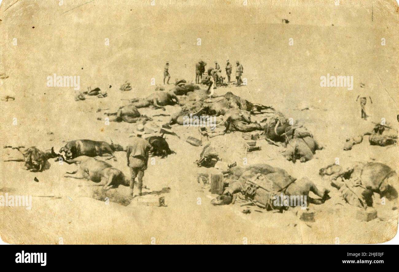 Australian Light Horse bombed in Sinai Desert - 1916 Stock Photo