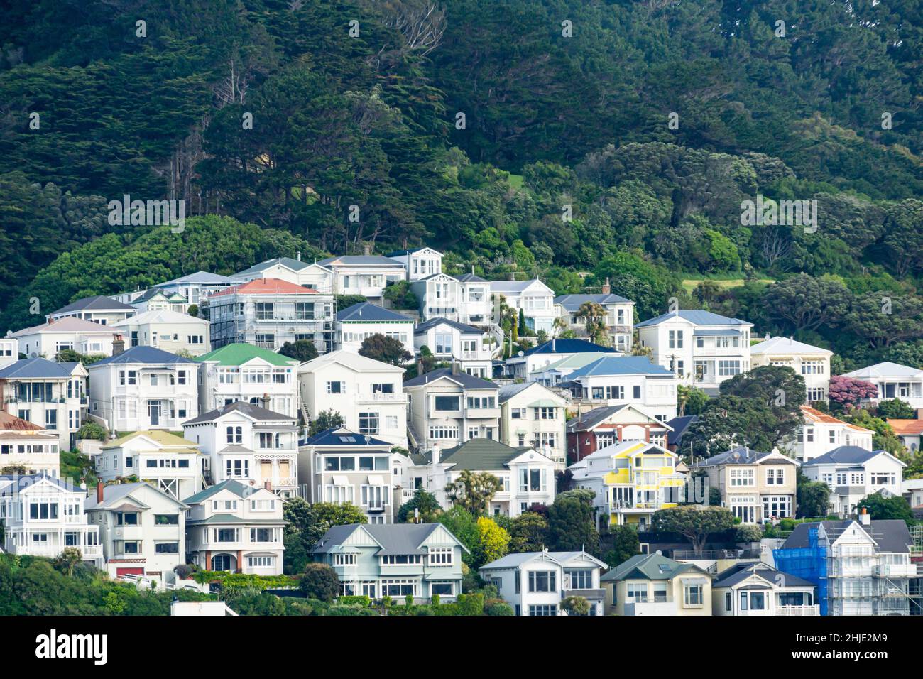 Hillside Homes In Wellington New Hi-res Stock Photography And Images 