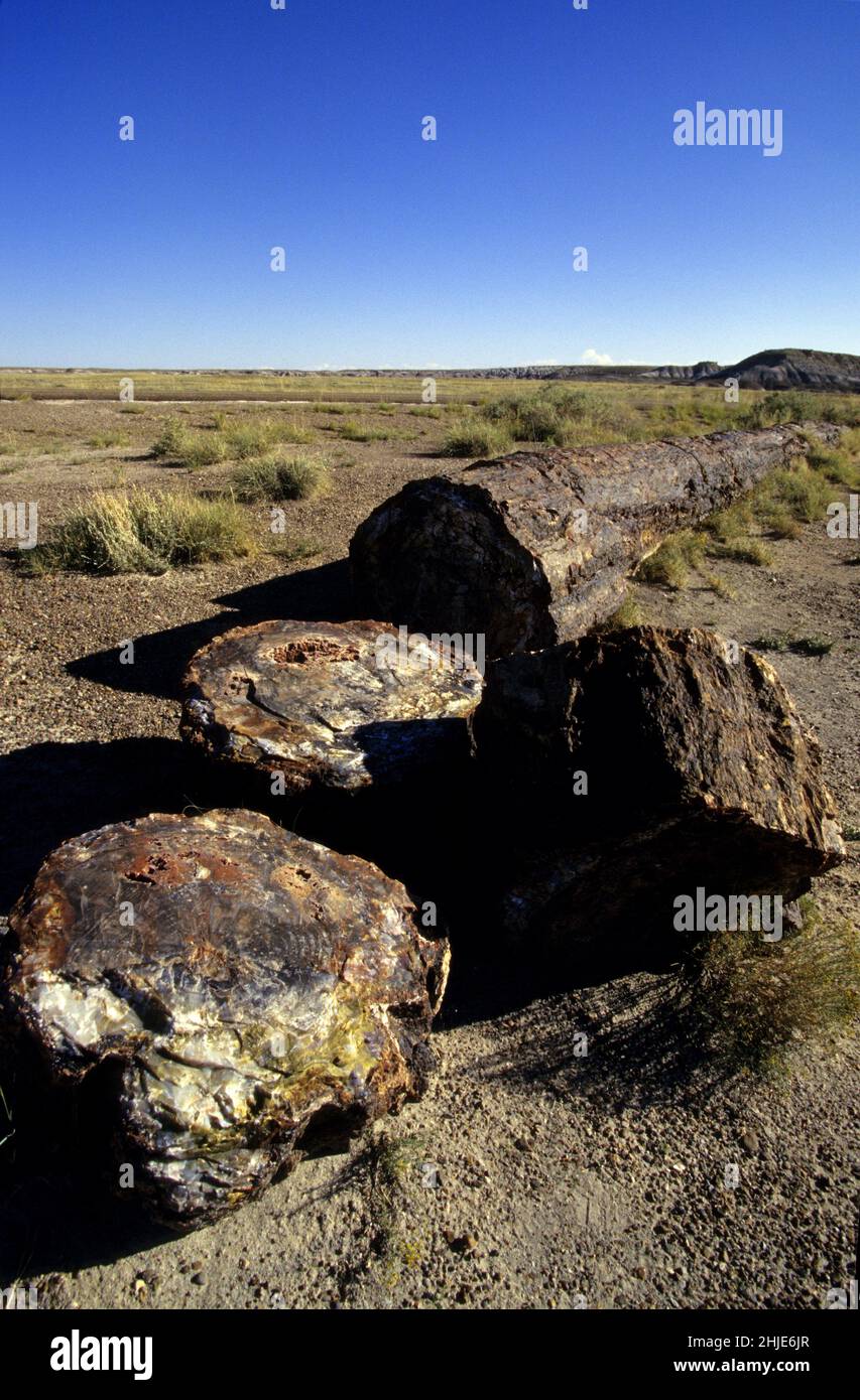 USA PETRIFIED FOREST NATIONAL PARK Stock Photo