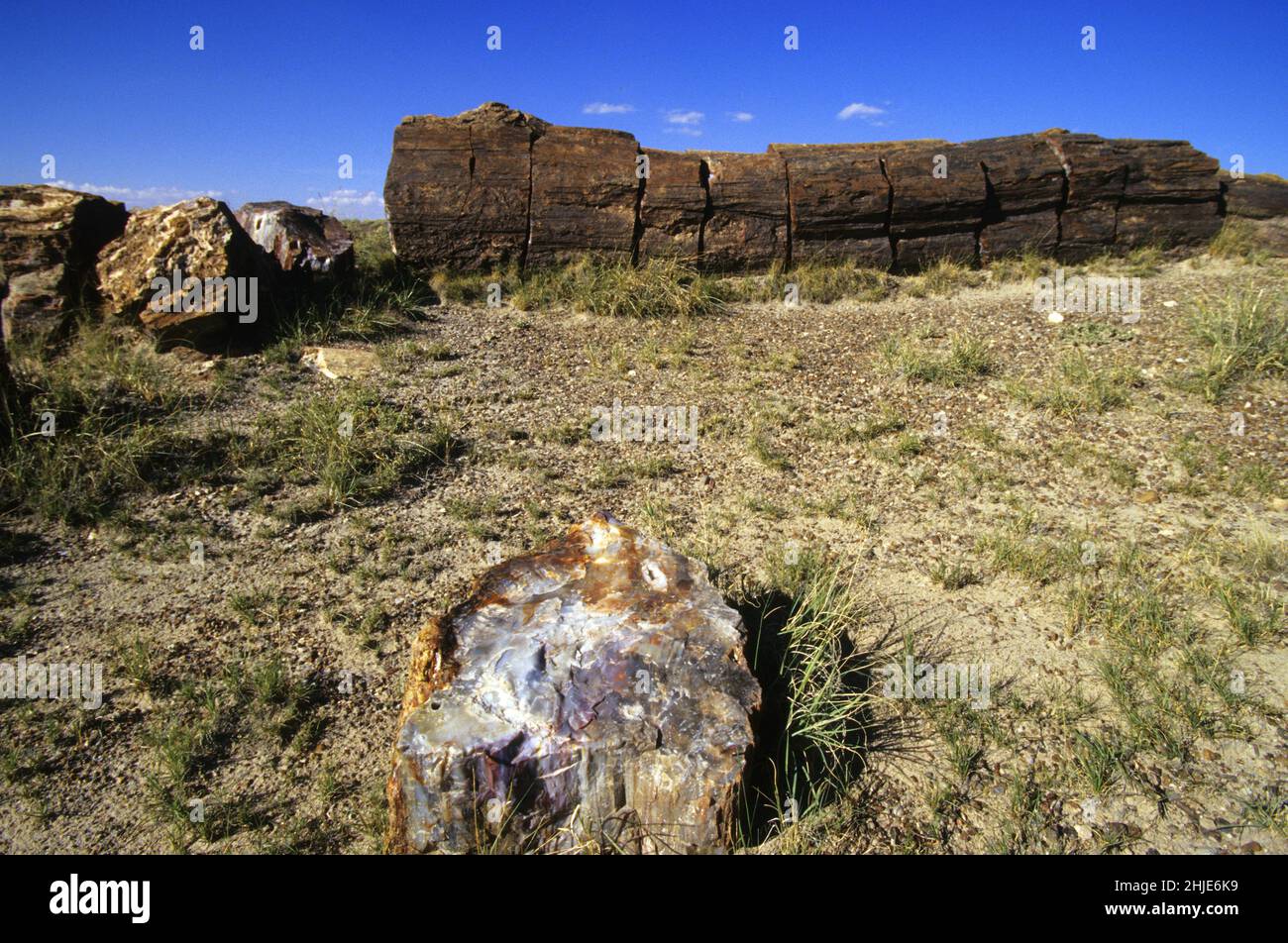 USA PETRIFIED FOREST NATIONAL PARK Stock Photo