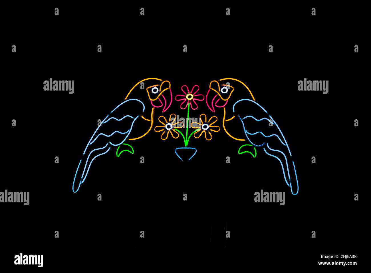 Blured Multi-colored neon lights at night. Stock Photo
