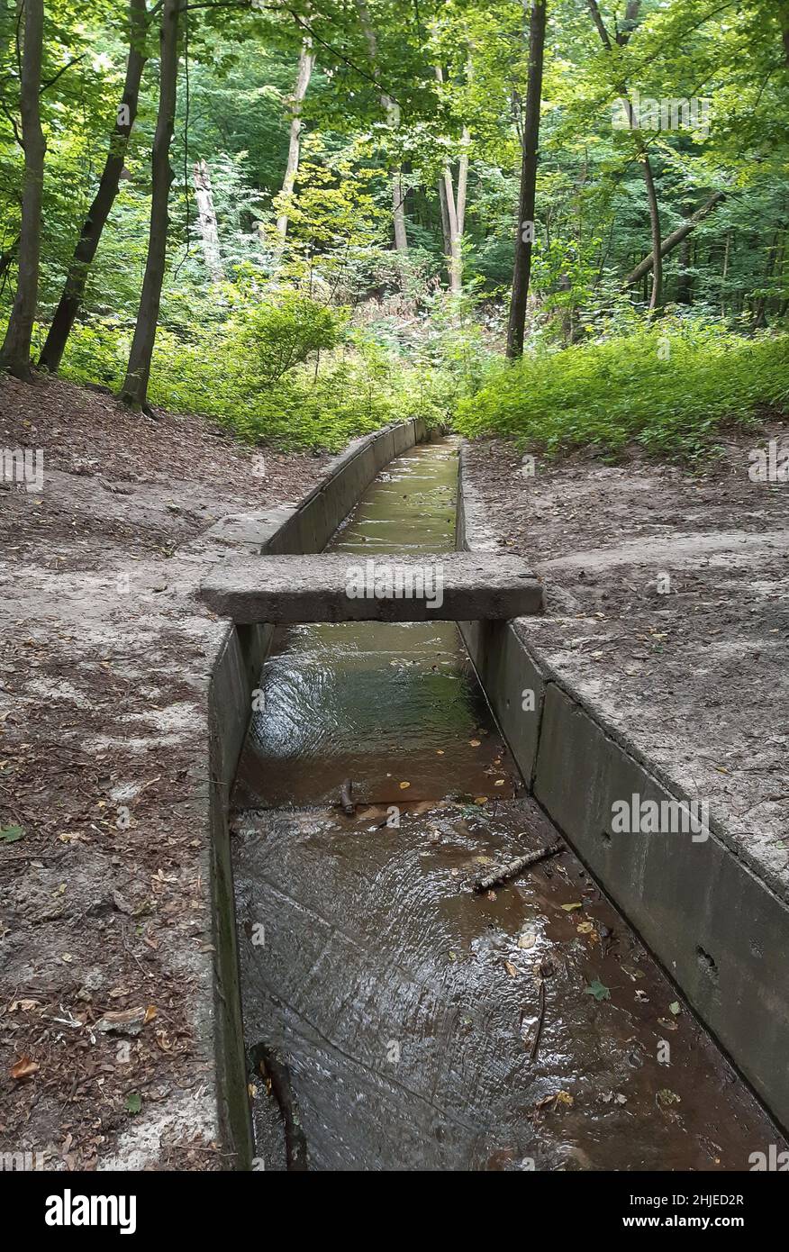 Drainage system in the forest to drain rainwater. A stream flows along the bottom Stock Photo