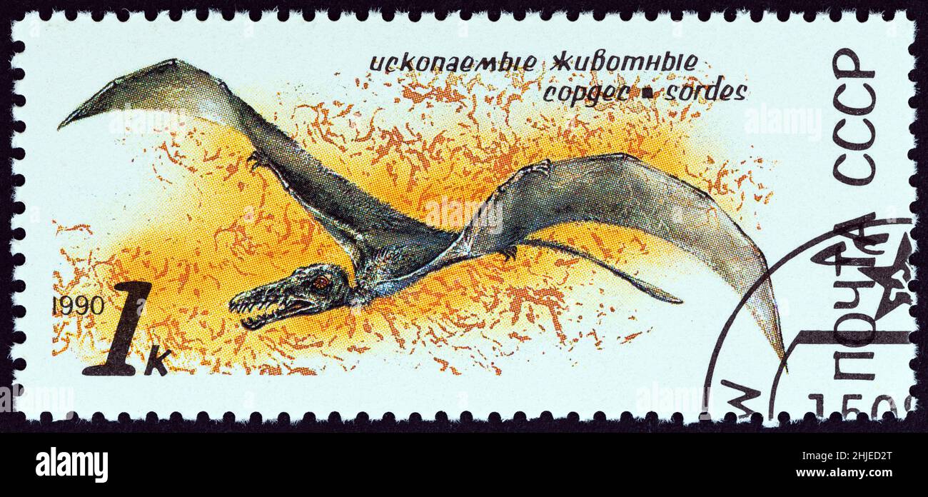 USSR - CIRCA 1990: A stamp printed in USSR from the 'Prehistoric Animals' issue shows Sordes, circa 1990. Stock Photo