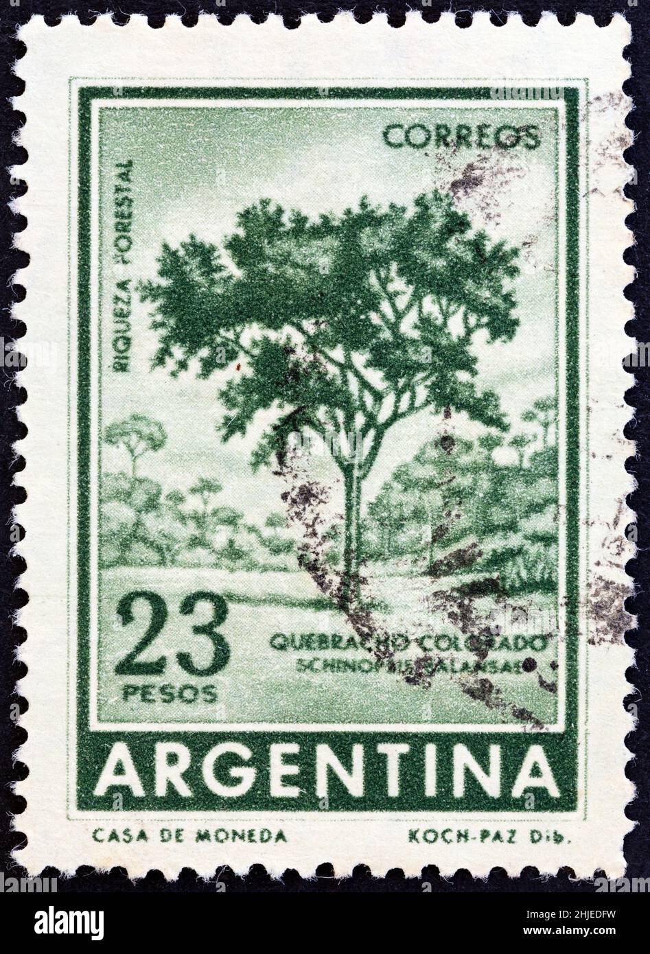 ARGENTINA - CIRCA 1965: A stamp printed in Argentina shows Quebracho colorado tree (Schinopsis balansae), circa 1965. Stock Photo