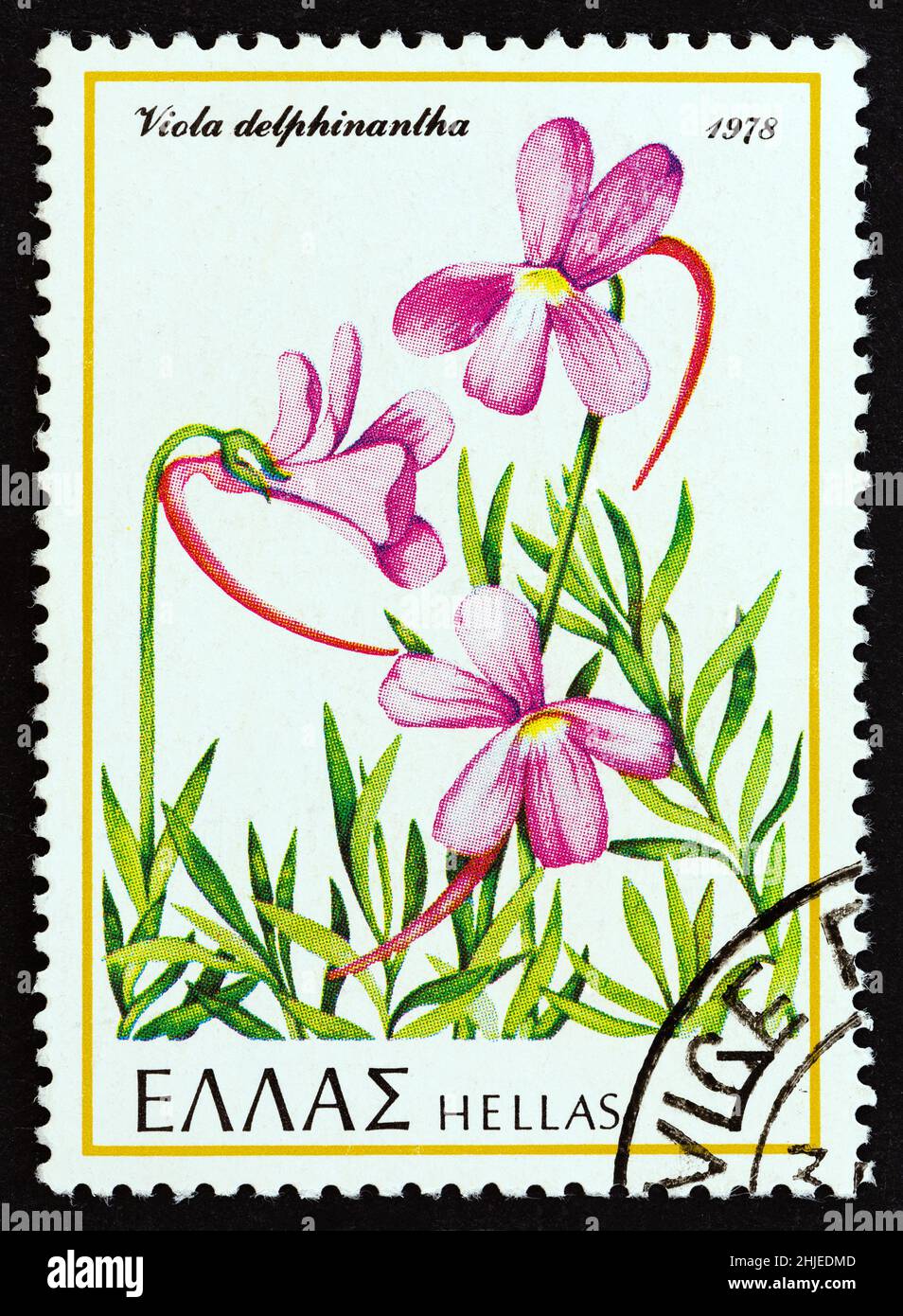 GREECE - CIRCA 1978: A stamp printed in Greece from the 'Greek flora' issue shows a Viola delphinantha flower, circa 1978. Stock Photo