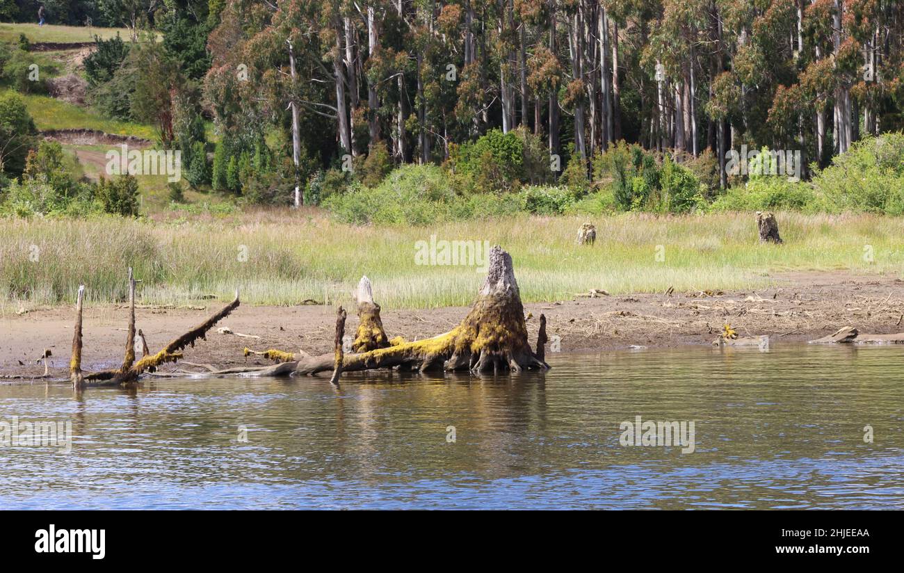 The Chepu River, Chiloe, Chile Stock Photo Alamy