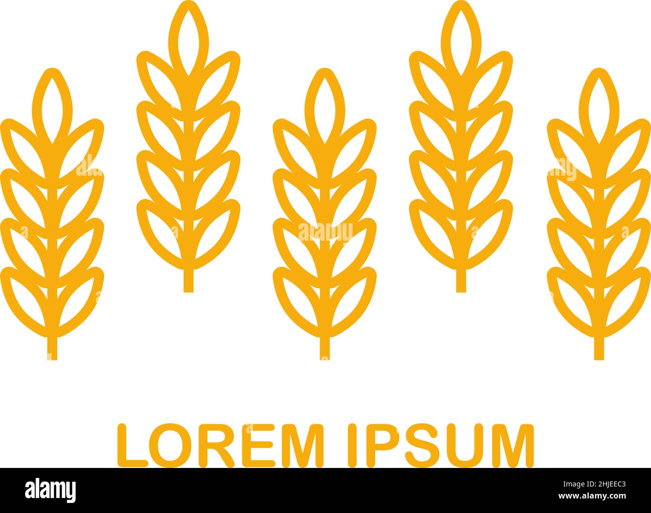 Wheat ears icon vector farm logo template. Line whole grain symbol ...