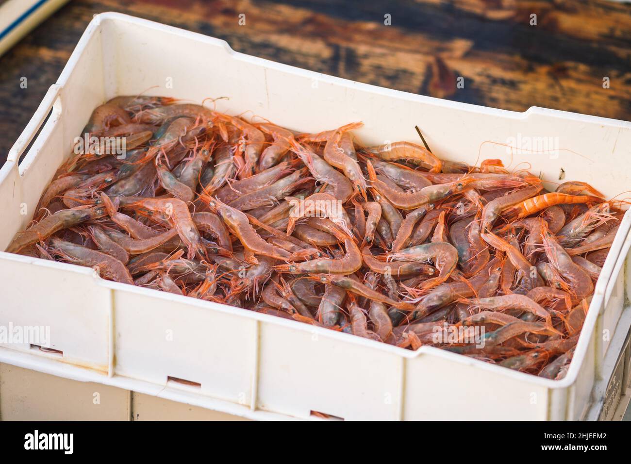 Freshly just caught shrimps and other fish in plastic crates on a fishing wooden boat ready to be sold at the fish market Stock Photo