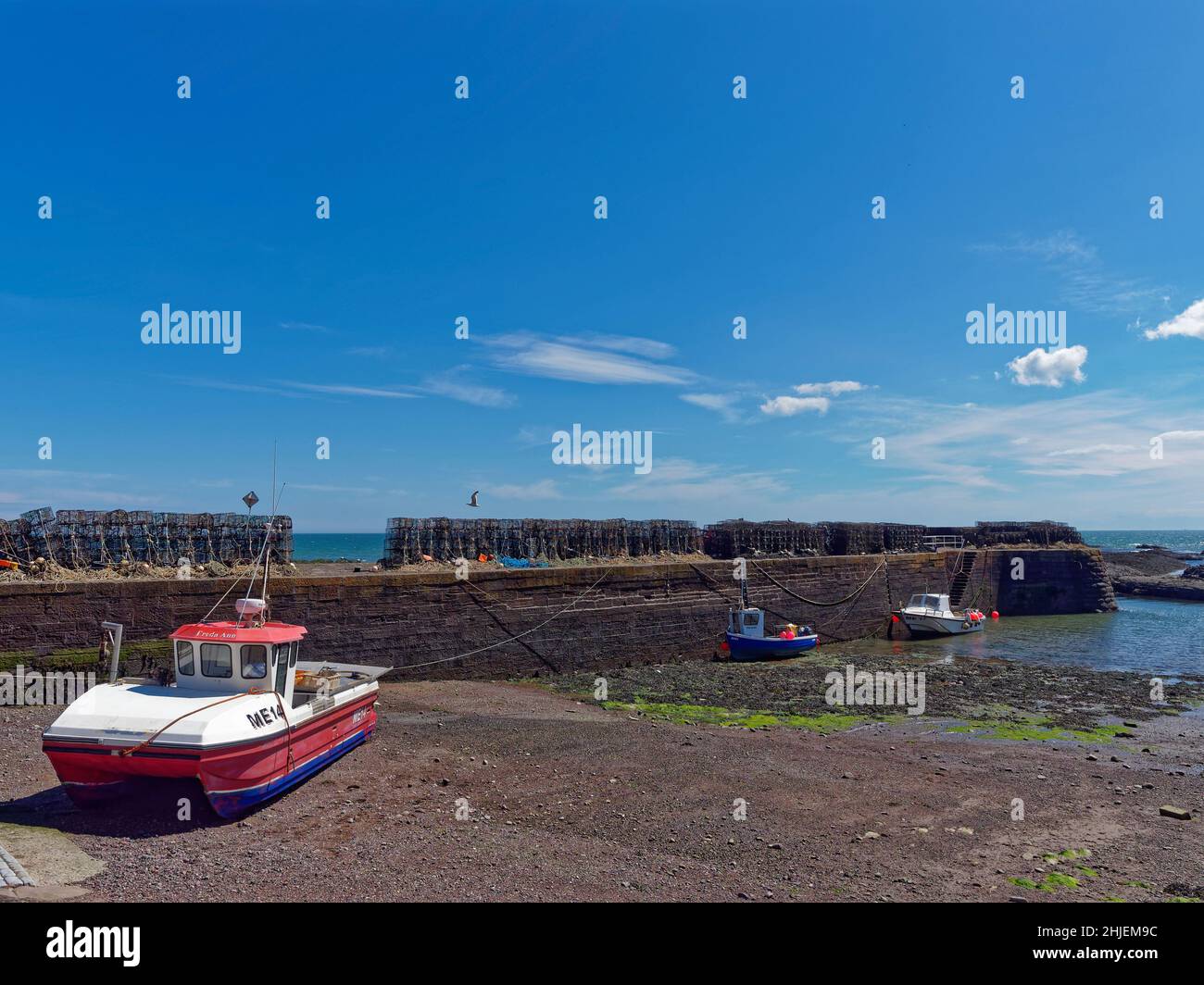 Small Fishing Boats alongside the Harbour Walls of Johnshaven Fishing Village at Low Tide with Crab Pots stacked along the Quayside. Stock Photo