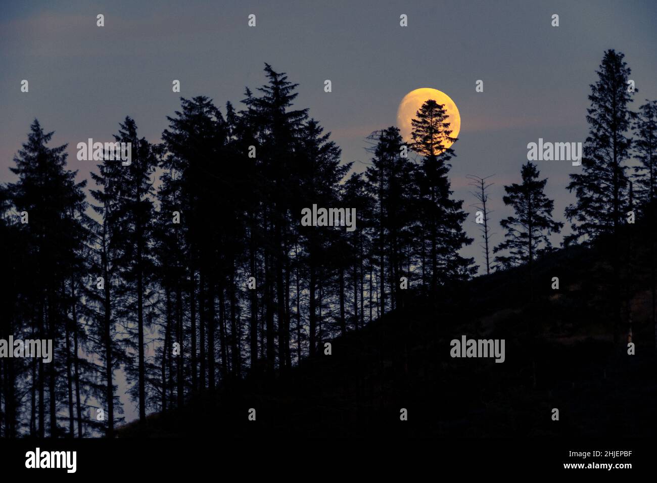 Grass full moon hi-res stock photography and images - Alamy
