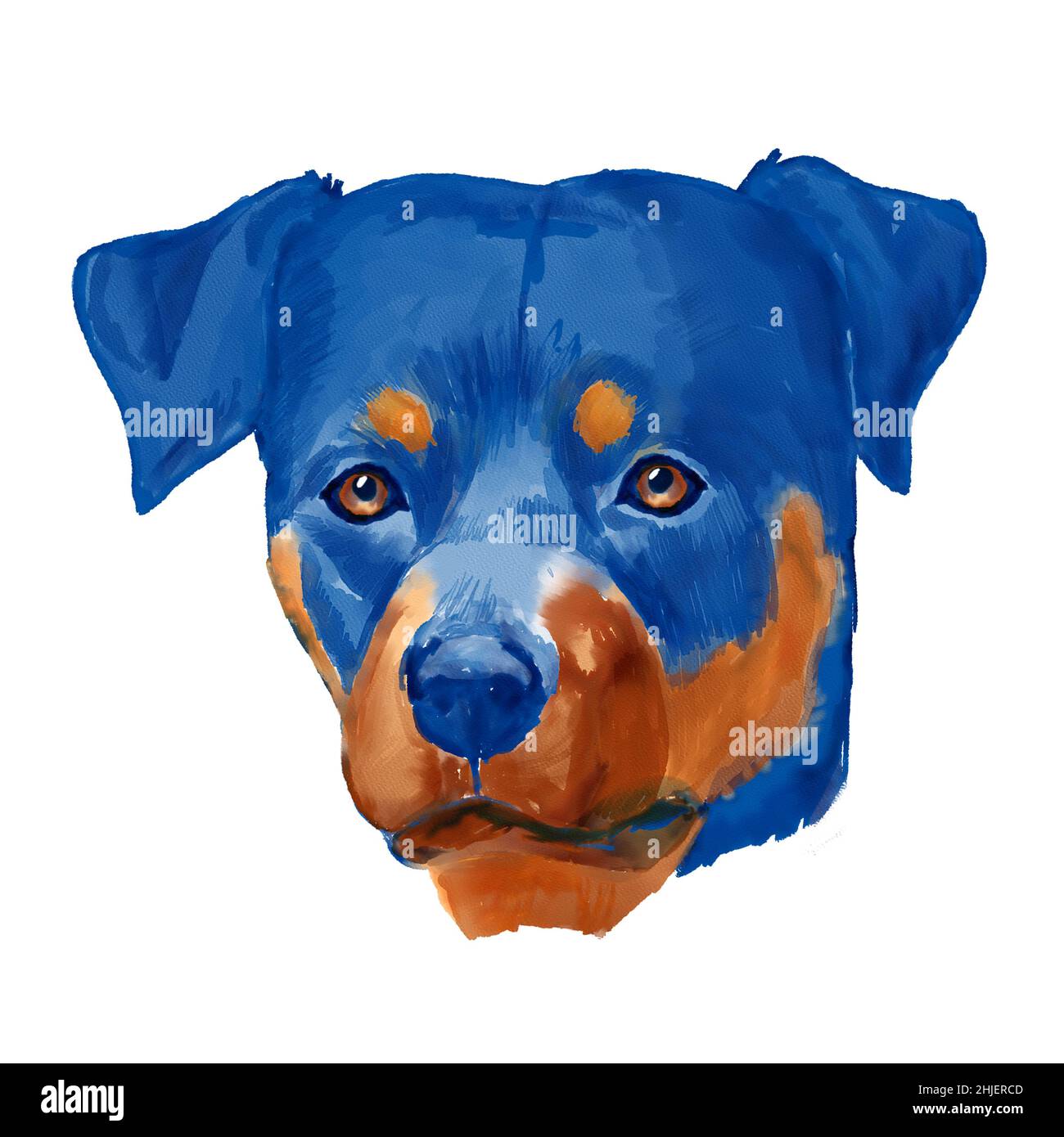 Rottweiler dog head watercolor clipart Stock Photo Alamy