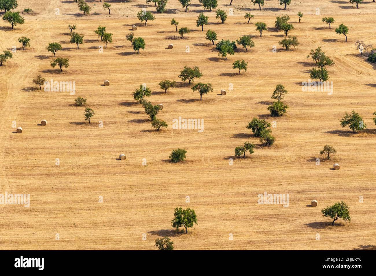 Straw bale majorca hi-res stock photography and images - Alamy