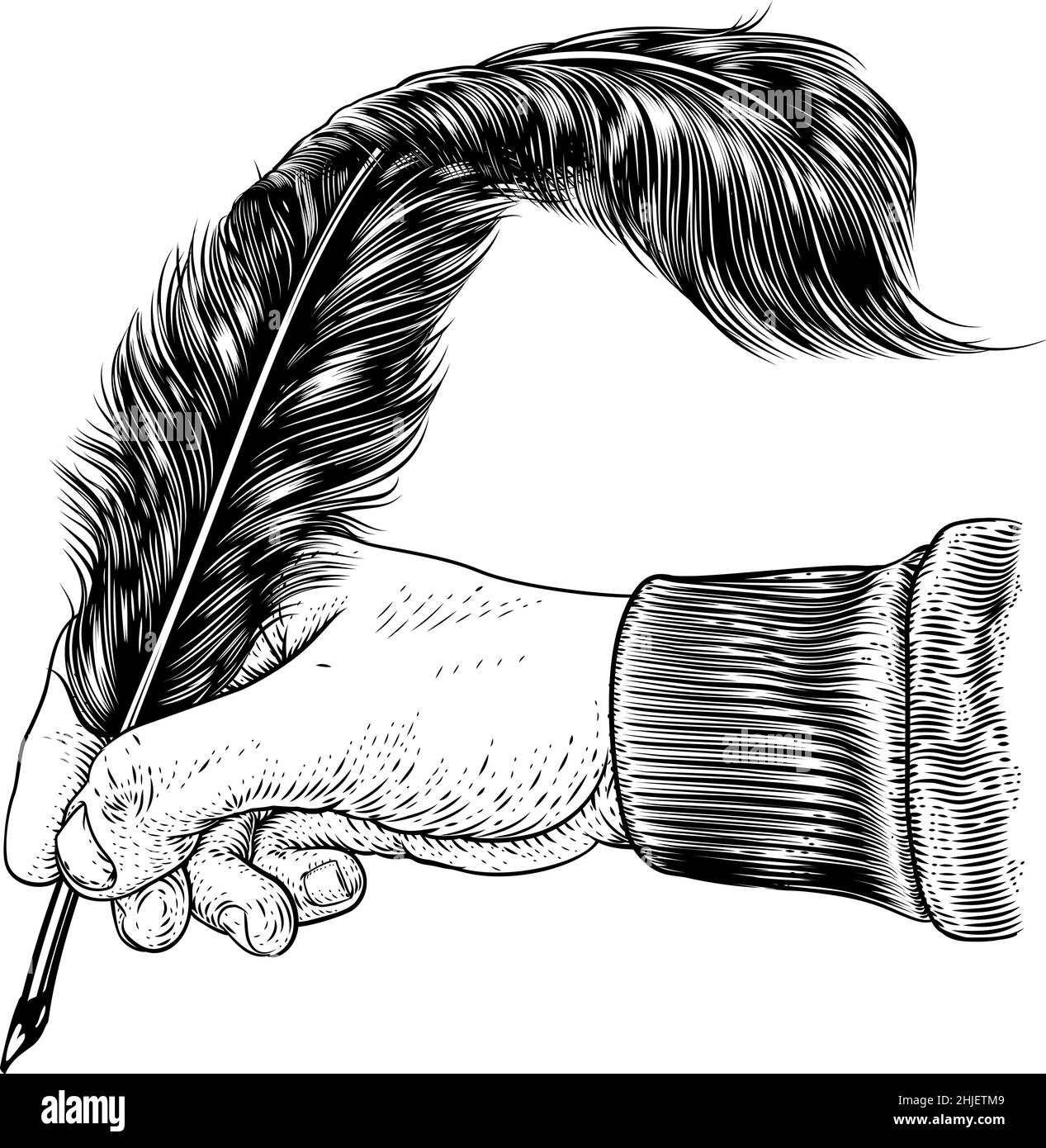 Quil feathers Stock Vector Images Alamy