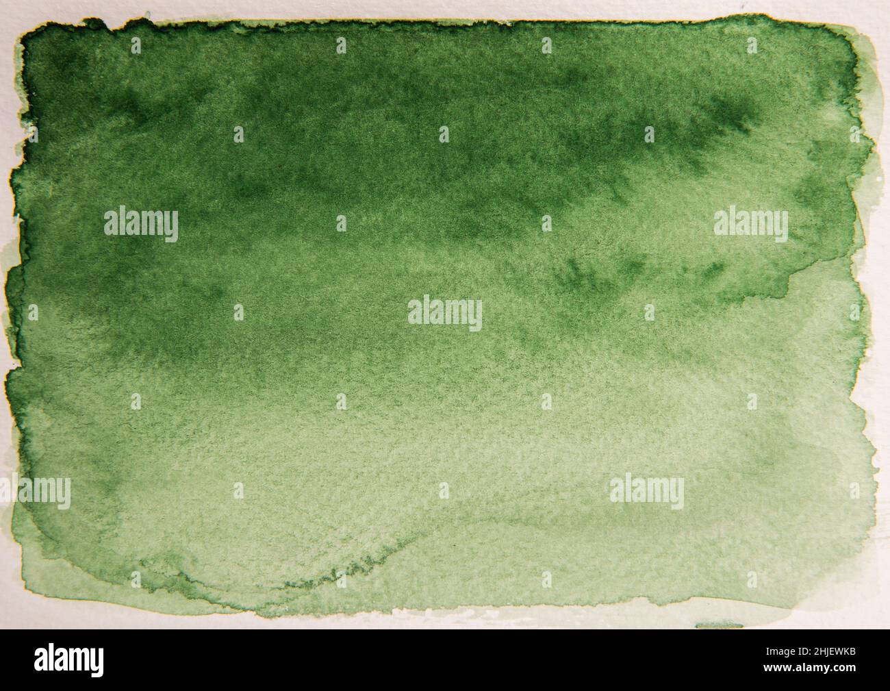 Green handmade watercolor background gradient paint Stock Photo