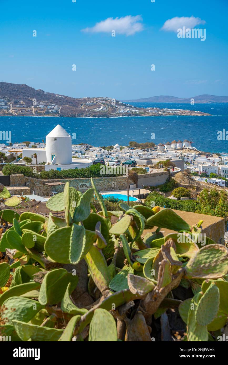 Elevated view of flour mills and town, Mykonos Town, Mykonos, Cyclades