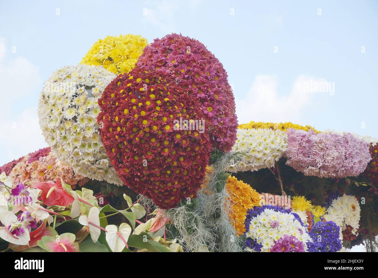Yellow and white Chrysanthemum and pink and red Daisy flowers arranged to resemble balloons displayed in Baguio, Philippines on March 1, 2015. Stock Photo