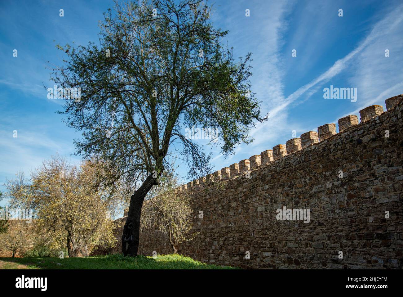 the Castelo de Mourao in the Town of Mourao in Alentejo in Portugal ...