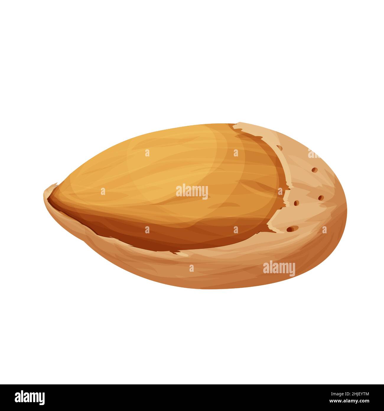 Almond in nutshell detailed raw nut, organic product, ingredient in ...