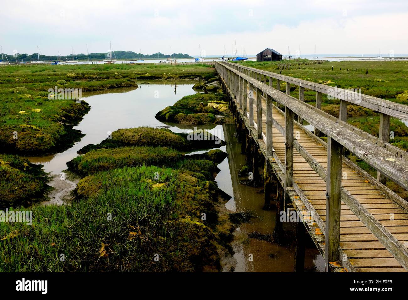 wooden,walkway,over,marsh,marshes,wet,lands,National Trust,Newtown,Isle