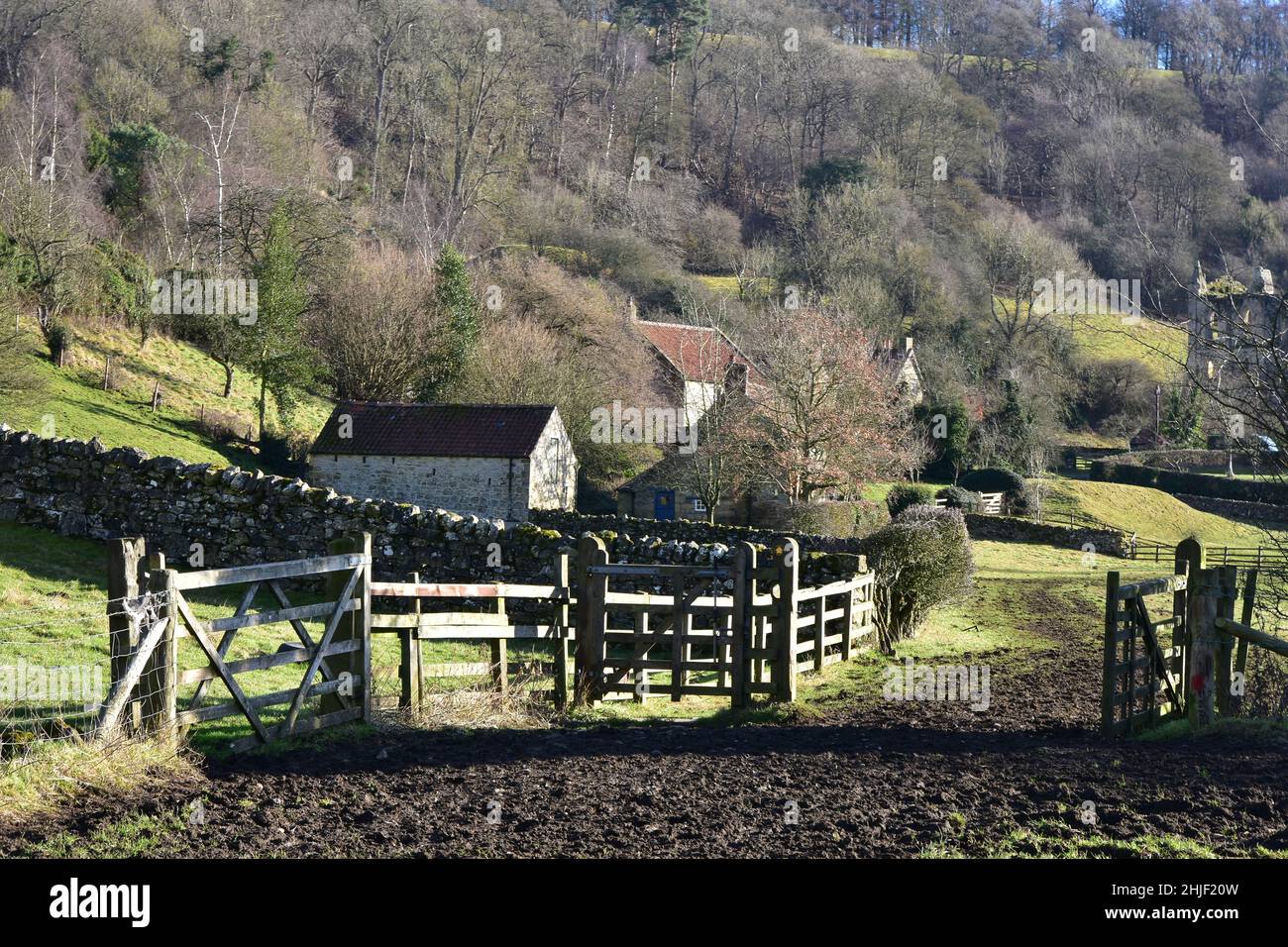 Counytryside around Rievaulx village, Yorkshire, England Stock Photo