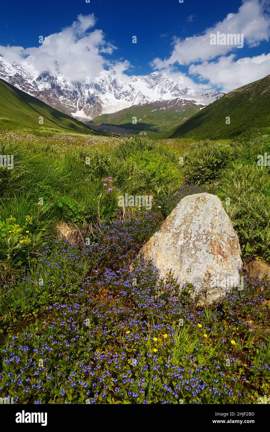 Summer landscape in the mountains. Sunny day. Beautiful nature. Main Caucasian ridge. Zemo Svaneti, Georgia Stock Photo