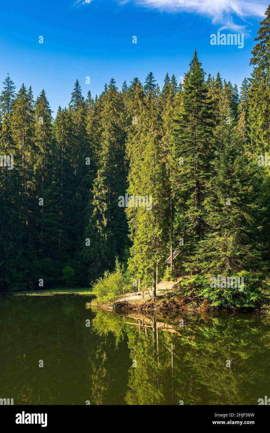 landscape with lake in summer. forest and sky reflection in the water. beautiful nature travel background of synevyr national park, ukraine. scenic gr Stock Photo