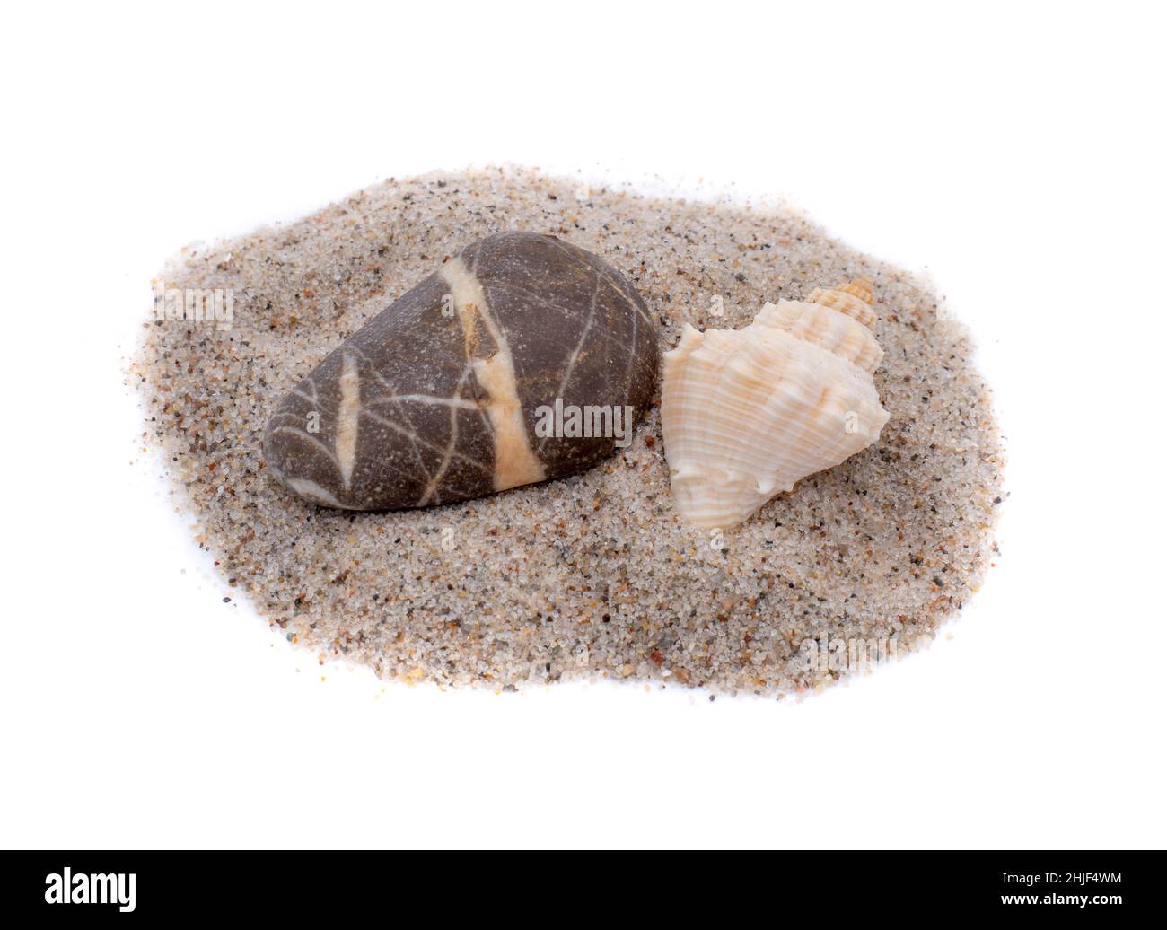 Stone and shell isolated on white background Stock Photo