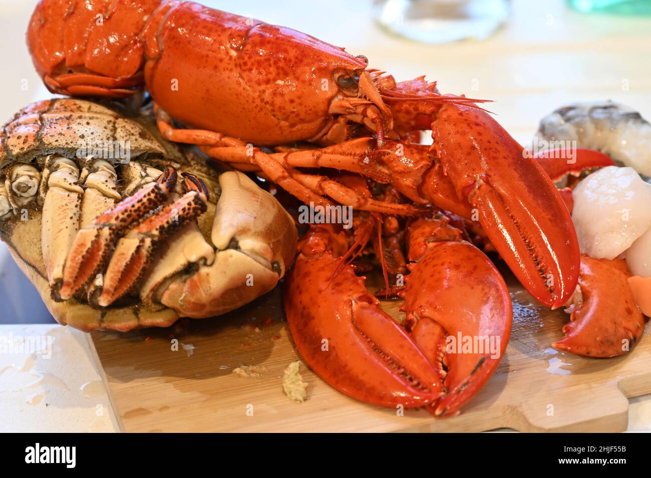 Cancer pagurus cooked crab, Canadian Lobster, fresh raw scallops and fresh raw prawns laying on a wooden kitchen board Stock Photo