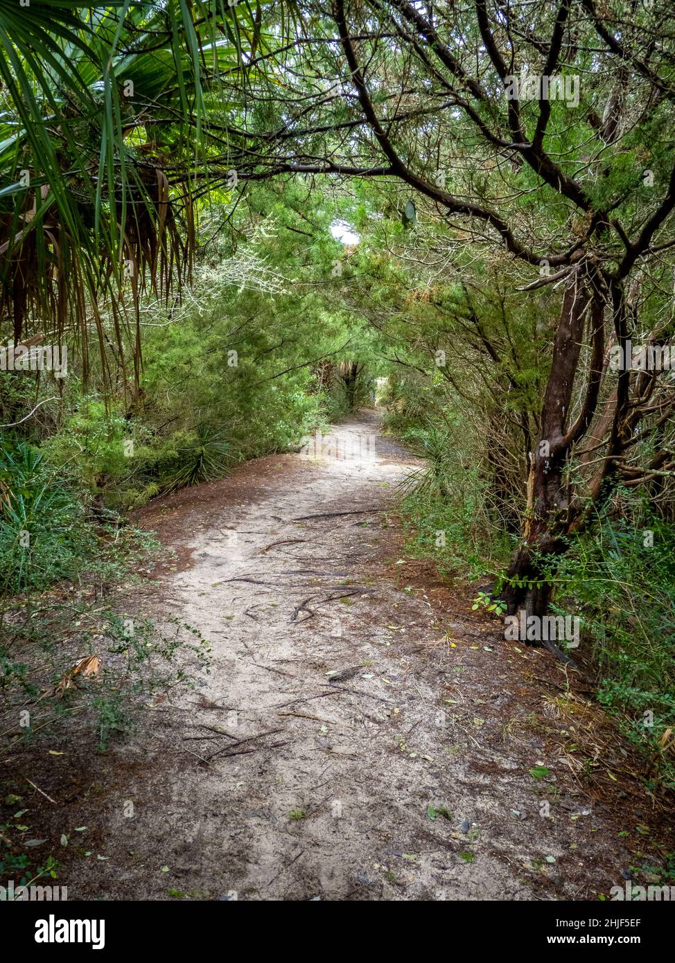 Cedar Key Railroad Trestle Nature Trail. on Cedar Key Florida USA Stock Photo