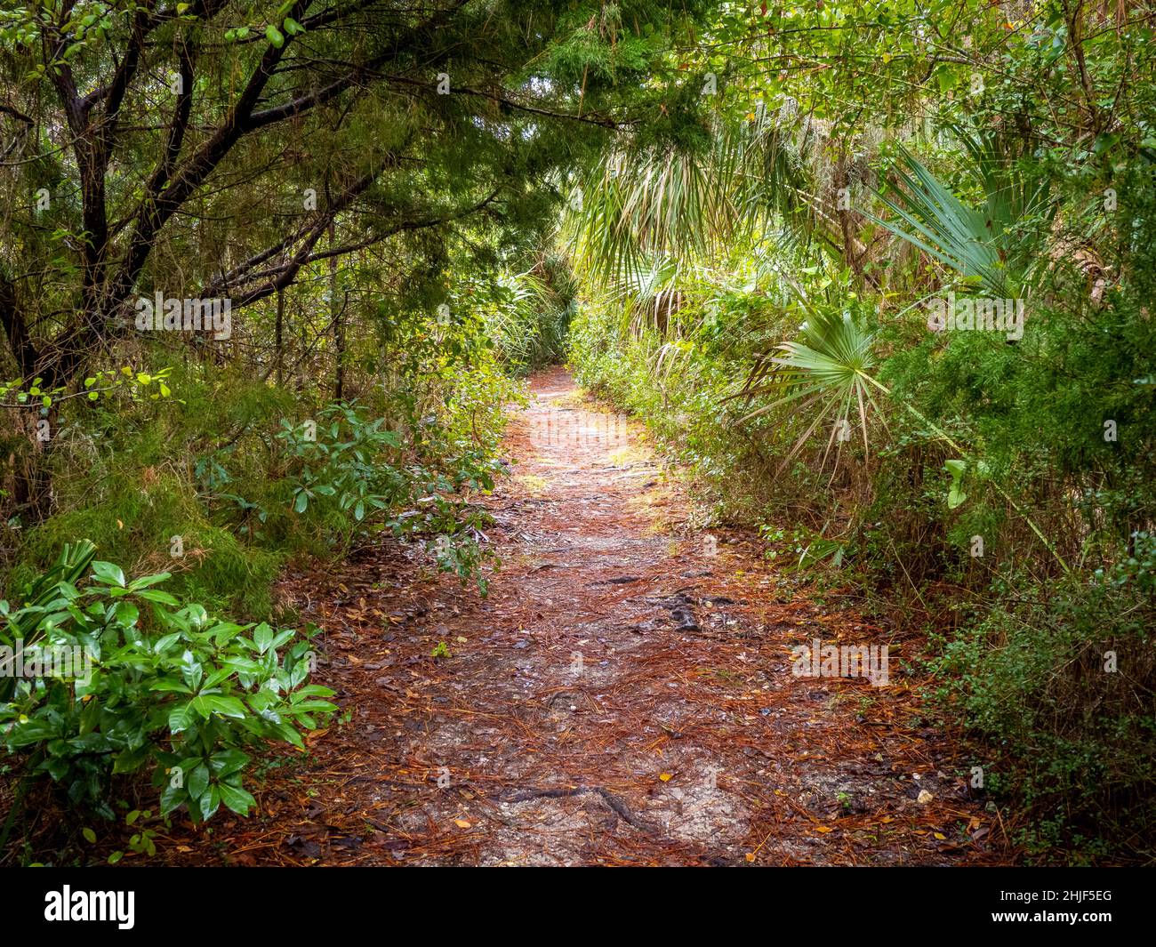 Cedar Key Railroad Trestle Nature Trail. on Cedar Key Florida USA Stock Photo