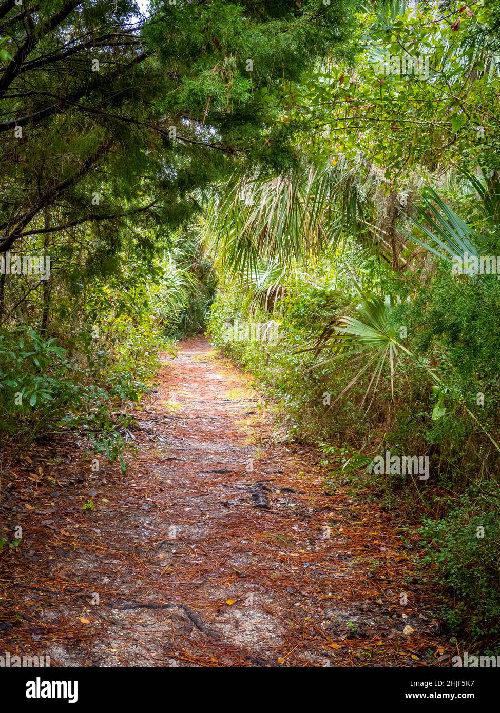 Cedar Key Railroad Trestle Nature Trail. on Cedar Key Florida USA Stock Photo