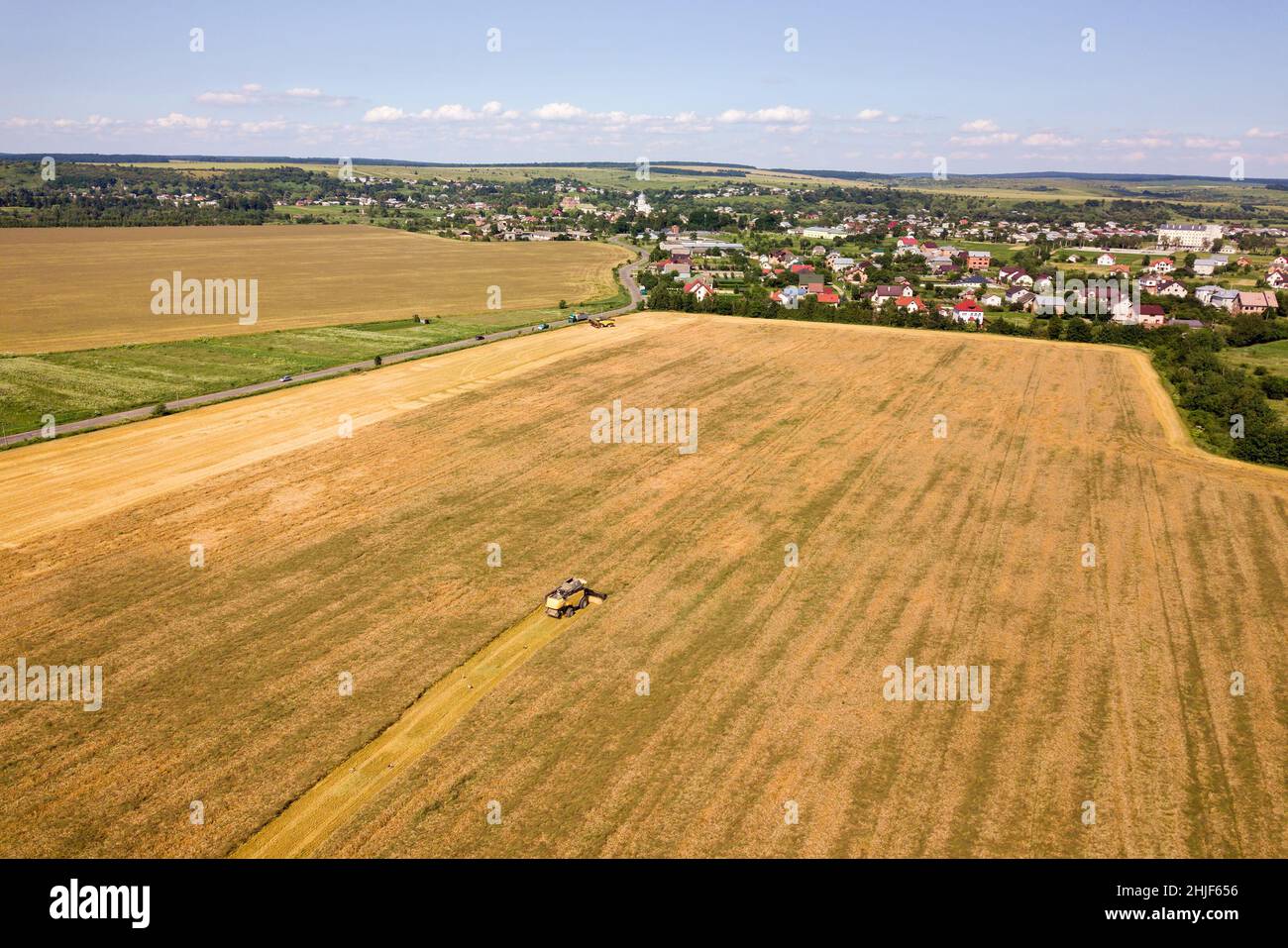 Aerial view of combine harvester harvesting large ripe wheat field ...