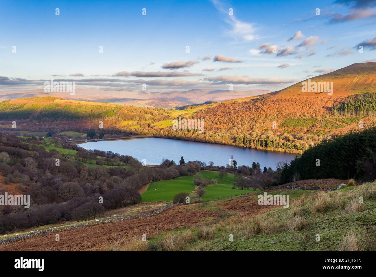 Beautiful rural farmland and hills in Talybont, Brecon Beacons, Wales, UK Stock Photo