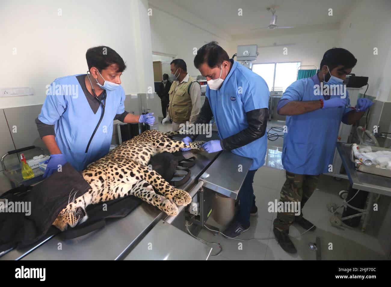 Van vihar hires stock photography and images Alamy