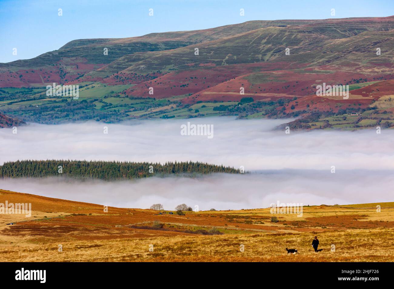 Mountains and trees showing through low level fog and cloud inversions in the Brecon Beacons, Wales, UK. Stock Photo