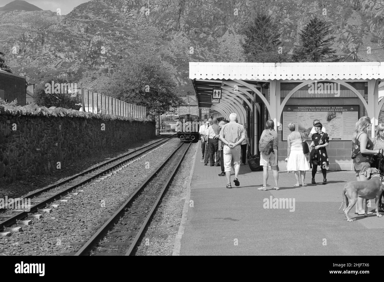 The Ffestiniog and Welsh Highland steam railway stretches through the