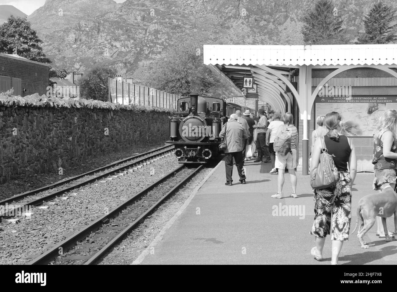 The Ffestiniog and Welsh Highland steam railway stretches through the