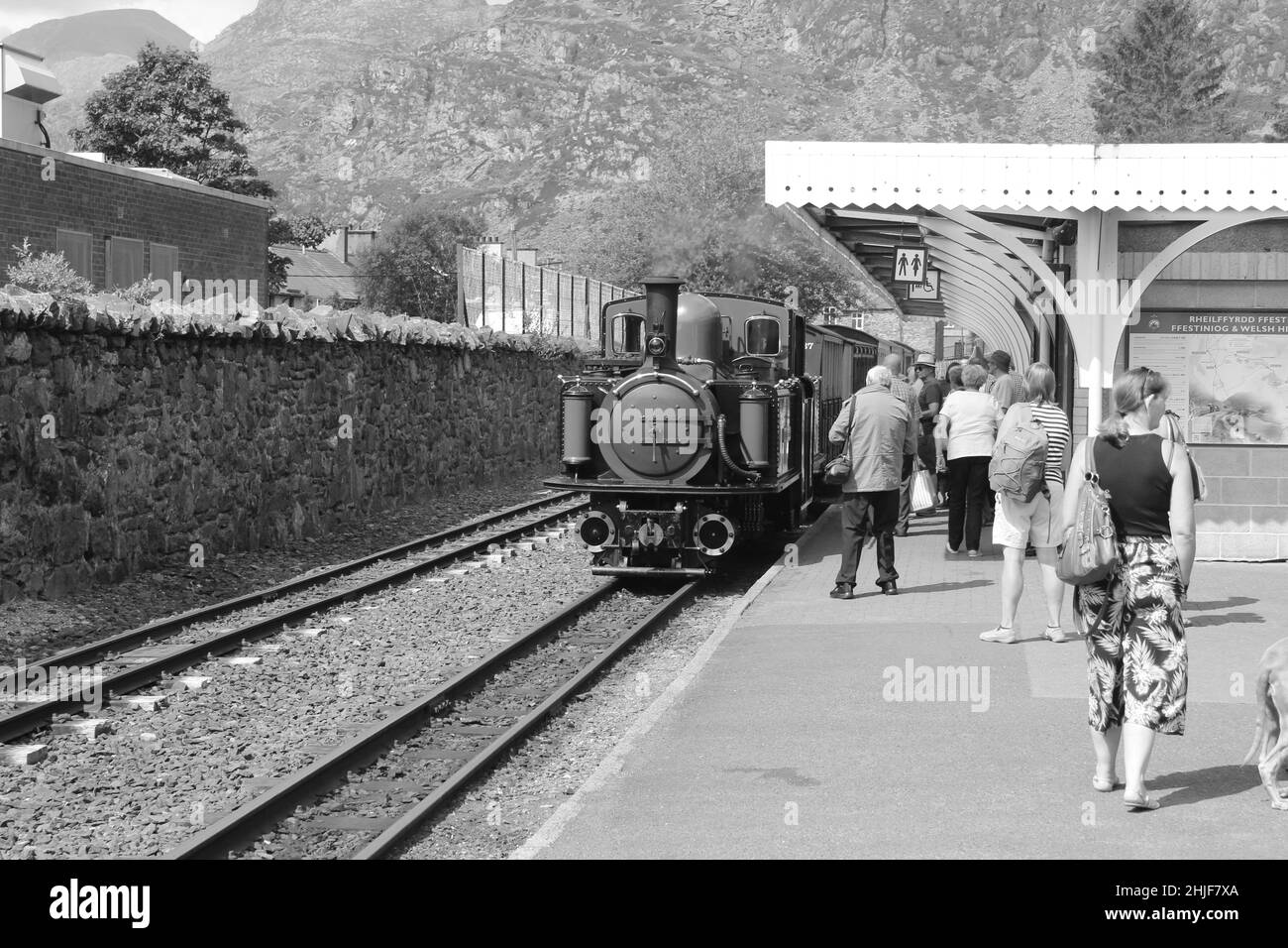 The Ffestiniog and Welsh Highland steam railway stretches through the