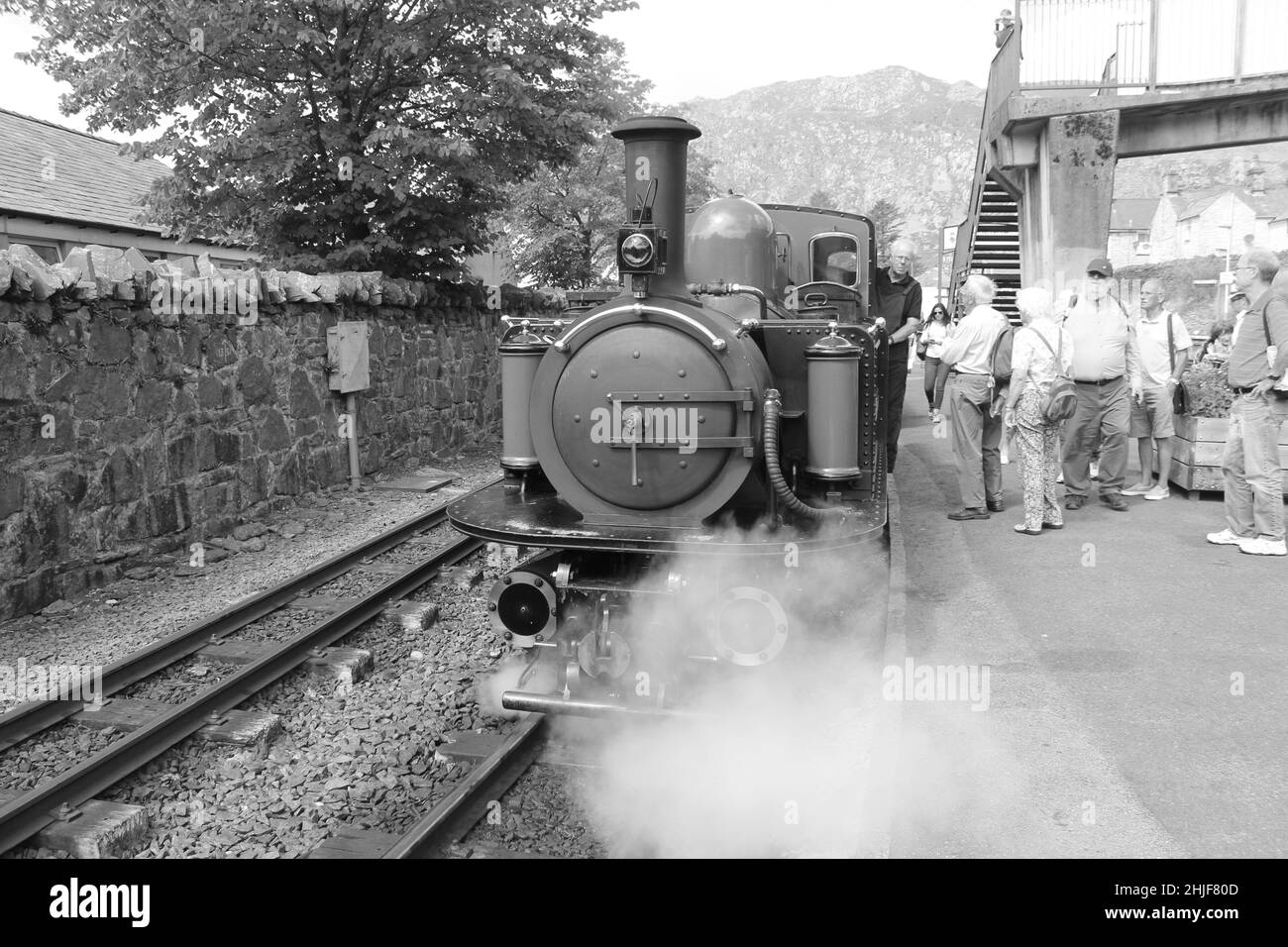 The Ffestiniog and Welsh Highland steam railway stretches through the